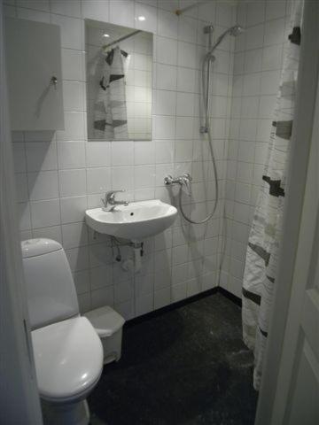Viborggade Appartement Copenhague